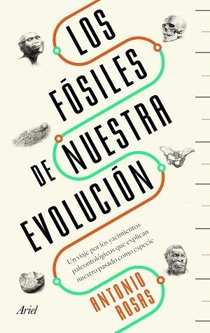 FÓSILES DE NUESTRA EVOLUCIÓN, LOS | 9788434429642 | ROSAS, ANTONIO | Llibreria L'Illa - Llibreria Online de Mollet - Comprar llibres online