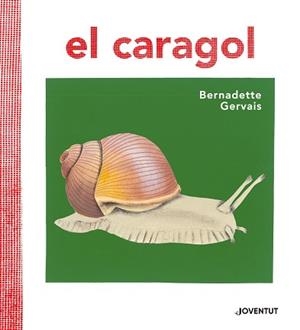 CARAGOL, EL | 9788426145680 | GERVAIS, BERNADETTE/TORNERO BRUGUÉS, SUSANA