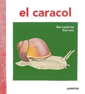 CARACOL, EL | 9788426145673 | GERVAIS, BERNADETTE/TORNERO BRUGUÉS, SUSANA