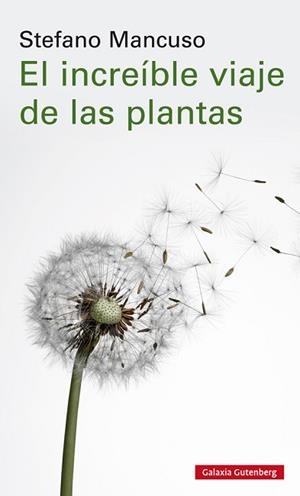 INCREÍBLE VIAJE DE LAS PLANTAS, EL | 9788417747312 | MANCUSO, STEFANO | Llibreria L'Illa - Llibreria Online de Mollet - Comprar llibres online