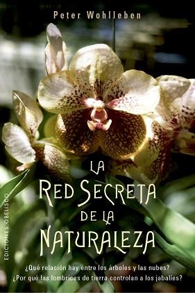 RED SECRETA DE LA NATURALEZA, LA | 9788491114192 | WOHLLEBEN, PETER | Llibreria L'Illa - Llibreria Online de Mollet - Comprar llibres online