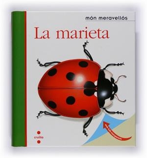 MARIETA, LA | 9788466120920 | GALLIMARD JEUNESSE, ÉDITIONS | Llibreria L'Illa - Llibreria Online de Mollet - Comprar llibres online