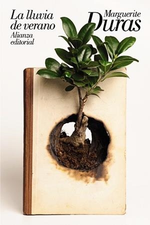 LLUVIA DE VERANO, LA | 9788491814962 | DURAS, MARGUERITE | Llibreria L'Illa - Llibreria Online de Mollet - Comprar llibres online