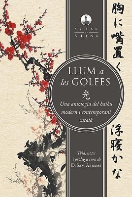 LLUM A LES GOLFES | 9788494906671 | ALCOVER MASPONS, JOAN/Y OTROS | Llibreria L'Illa - Llibreria Online de Mollet - Comprar llibres online