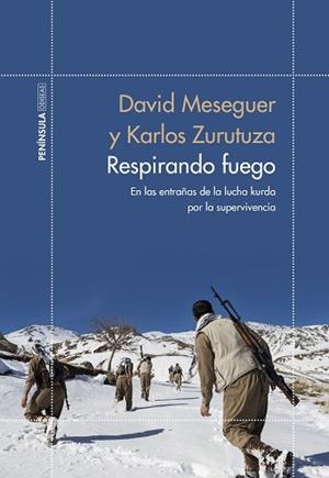 RESPIRANDO FUEGO | 9788499428017 | MESEGUER, DAVID/ZURUTUZA, KARLOS | Llibreria L'Illa - Llibreria Online de Mollet - Comprar llibres online