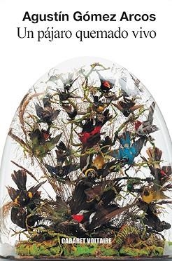 PÁJARO QUEMADO VIVO, UN | 9788494941443 | GÓMEZ ARCOS, AGUSTÍN | Llibreria L'Illa - Llibreria Online de Mollet - Comprar llibres online