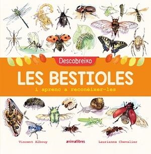 DESCOBREIXO LES BESTIOLES I APRENC A RECONÈIXER-LES | 9788417599201 | ALBOUY, VINCENT | Llibreria L'Illa - Llibreria Online de Mollet - Comprar llibres online