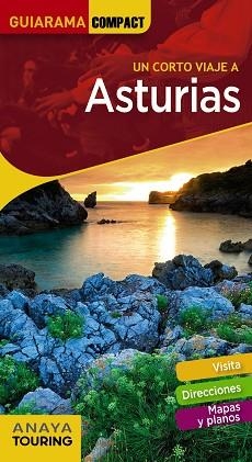 ASTURIAS | 9788491581437 | MARTÍNEZ REVERTE, JAVIER/GÓMEZ, IÑAKI/ALONSO GONZÁLEZ, JUAN CARLOS/PLANS, JUAN JOSÉ | Llibreria L'Illa - Llibreria Online de Mollet - Comprar llibres online