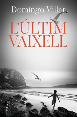 ÚLTIM VAIXELL, L' | 9788466425490 | VILLAR, DOMINGO | Llibreria L'Illa - Llibreria Online de Mollet - Comprar llibres online