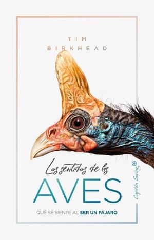 SENTIDOS DE LAS AVES, LOS | 9788412064506 | BIRKHEAD, TIM | Llibreria L'Illa - Llibreria Online de Mollet - Comprar llibres online