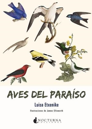 AVES DEL PARAÍSO | 9788417834210 | ETXENIKE, LUISA | Llibreria L'Illa - Llibreria Online de Mollet - Comprar llibres online