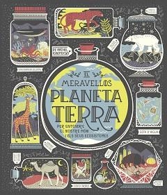 MERAVELLÓS PLANETA TERRA, EL | 9788491378778 | IGNOTOFSKY, RACHEL | Llibreria L'Illa - Llibreria Online de Mollet - Comprar llibres online