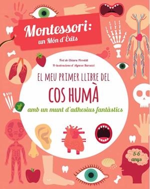 MEU PRIMER LLIBRE DEL COS HUMA, EL | 9788468250052 | PIRODDI, CHIARA | Llibreria L'Illa - Llibreria Online de Mollet - Comprar llibres online
