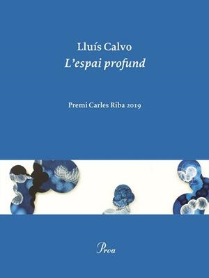 ESPAI PROFUND, L' | 9788475888248 | CALVO, LLUÍS | Llibreria L'Illa - Llibreria Online de Mollet - Comprar llibres online