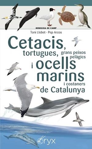 CETACIS TORTUGUES GRANS PEIXOS PELÀGICS I OCELLS MARINS DE CATALUNYA | 9788490349441 | LLOBET FRANÇOIS , TONI/ARCOS XX, PEP | Llibreria L'Illa - Llibreria Online de Mollet - Comprar llibres online