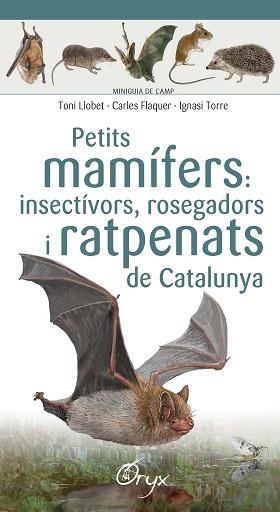PETITS MAMÍFERS: INSECTÍVORS ROSEGADORS I RATPENATS DE CATALUNYA | 9788490348956 | LLOBET FRANÇOIS , TONI/FLAQUER XX, CARLES/TORRE XX, IGNASI | Llibreria L'Illa - Llibreria Online de Mollet - Comprar llibres online