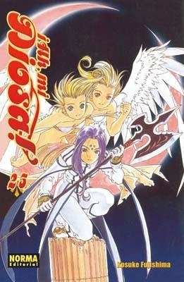 AH MI DIOSA 25 | 9788498476309 | FUJISHIMA, KOSUKE | Llibreria L'Illa - Llibreria Online de Mollet - Comprar llibres online