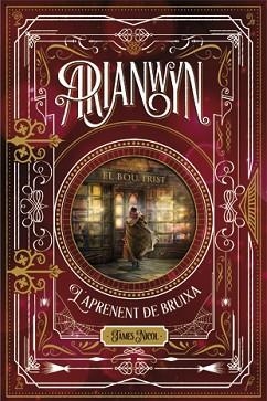 ARIANWYN 1. L'APRENENT DE BRUIXA | 9788424658694 | NICOL, JAMES | Llibreria L'Illa - Llibreria Online de Mollet - Comprar llibres online