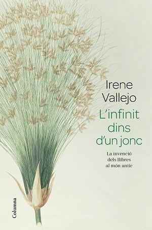 INFINIT DINS D'UN JONC, L' | 9788466426947 | VALLEJO, IRENE | Llibreria L'Illa - Llibreria Online de Mollet - Comprar llibres online