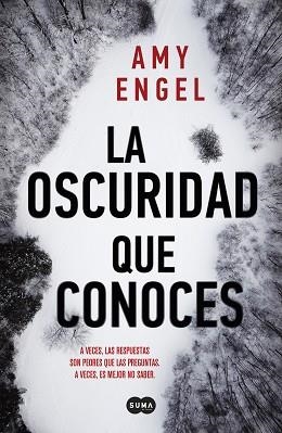 OSCURIDAD QUE CONOCES, LA | 9788491294108 | ENGEL, AMY | Llibreria L'Illa - Llibreria Online de Mollet - Comprar llibres online