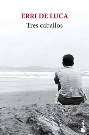 TRES CABALLOS | 9788432236921 | DE LUCA, ERRI | Llibreria L'Illa - Llibreria Online de Mollet - Comprar llibres online