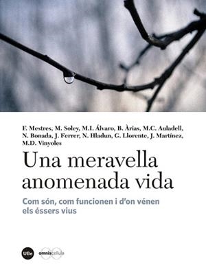 MERAVELLA ANOMENADA VIDA, UNA | 9788447540310 | VARIOS AUTORES | Llibreria L'Illa - Llibreria Online de Mollet - Comprar llibres online