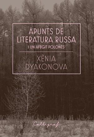 APUNTS DE LITERATURA RUSSA I UN AFEGIT POLONÈS | 9788412212358 | DYAKONOVA, XÈNIA | Llibreria L'Illa - Llibreria Online de Mollet - Comprar llibres online