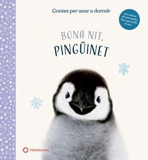 BONA NIT PINGÜINET | 9788417749972 | WOOD, AMANDA