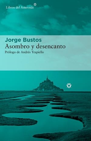 ASOMBRO Y DESENCANTO | 9788417977573 | BUSTOS, JORGE | Llibreria L'Illa - Llibreria Online de Mollet - Comprar llibres online