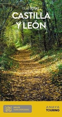 CASTILLA Y LEÓN | 9788491583660 | RAMOS CAMPOS, ALFREDO/DURO PÉREZ, RUBÉN/MEDINA BAÑÓN, IGNACIO | Llibreria L'Illa - Llibreria Online de Mollet - Comprar llibres online