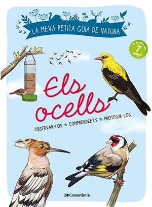 OCELLS, ELS | 9788413560359 | LUCHESI, MICHEL | Llibreria L'Illa - Llibreria Online de Mollet - Comprar llibres online