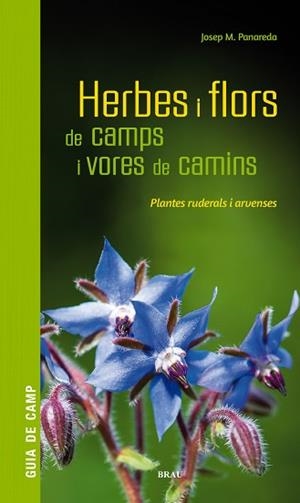 HERBES I FLORS DE CAMPS I VORES DE CAMINS | 9788418096082 | PANAREDA CLOPÉS, JOSEP M | Llibreria L'Illa - Llibreria Online de Mollet - Comprar llibres online