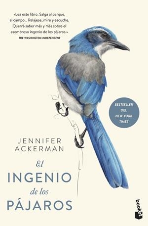 INGENIO DE LOS PÁJAROS, EL | 9788408241256 | ACKERMAN, JENNIFER | Llibreria L'Illa - Llibreria Online de Mollet - Comprar llibres online