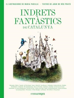 INDRETS FANTÀSTICS DE CATALUNYA | 9788417188986 | PRATS PIJOAN, JOAN DE DÉU/PADILLA CLIMENT, MARIA | Llibreria L'Illa - Llibreria Online de Mollet - Comprar llibres online