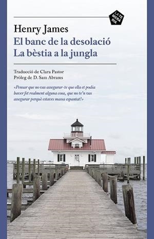 BANC DE LA DESOLACIÓ / LA BÈSTIA A LA JUNGLA | 9788412356410 | HENRY, JAMES | Llibreria L'Illa - Llibreria Online de Mollet - Comprar llibres online