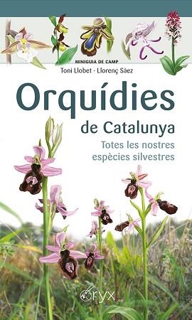 ORQUÍDIES DE CATALUNYA | 9788413560403 | SÀEZ GOÑALONS, LLORENÇ/LLOBET FRANÇOIS, TONI | Llibreria L'Illa - Llibreria Online de Mollet - Comprar llibres online