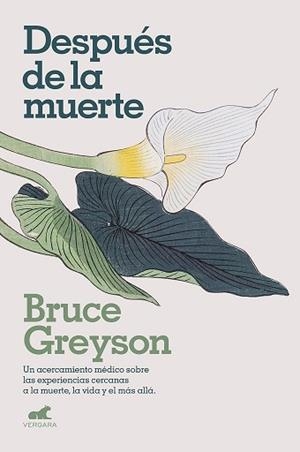 DESPUÉS DE LA MUERTE | 9788418045578 | GREYSON, M. D., BRUCE | Llibreria L'Illa - Llibreria Online de Mollet - Comprar llibres online