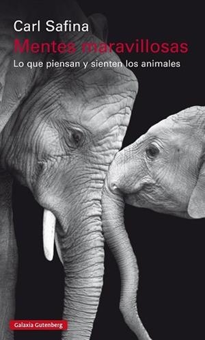 MENTES MARAVILLOSAS | 9788481095746 | SAFINA, CARL | Llibreria L'Illa - Llibreria Online de Mollet - Comprar llibres online