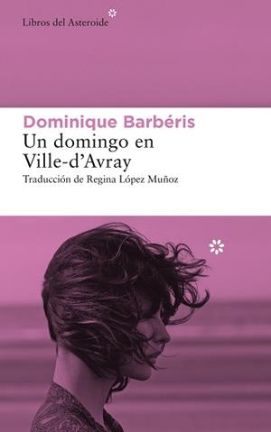 DOMINGO EN VILLE-D’AVRAY, UN | 9788417977634 | BARBÉRIS, DOMINIQUE | Llibreria L'Illa - Llibreria Online de Mollet - Comprar llibres online