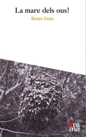 MARE DELS OUS, LA | 9788412278835 | GUIX TORRENTS, ROSER | Llibreria L'Illa - Llibreria Online de Mollet - Comprar llibres online