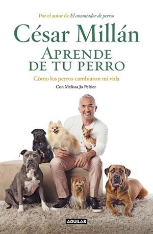 APRENDE DE TU PERRO | 9788403518445 | MILLÁN, CÉSAR | Llibreria L'Illa - Llibreria Online de Mollet - Comprar llibres online
