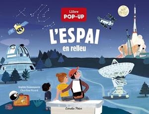 ESPAI EN RELLEU, L' | 9788418444074 | DUSSAUSSOIS, SOPHIE/PICARD, CHARLINE | Llibreria L'Illa - Llibreria Online de Mollet - Comprar llibres online