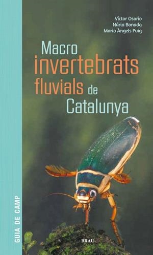 MACROINVERTEBRATS FLUVIALS DE CATALUNYA | 9788418096204 | OSORIO ÁLVAREZ, VÍCTOR/PUIG GARCÍA, M. ÁNGELES/BONADA CAPARRÓS, NÚRIA | Llibreria L'Illa - Llibreria Online de Mollet - Comprar llibres online