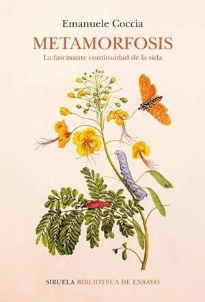 METAMORFOSIS | 9788418859052 | COCCIA, EMANUELE | Llibreria L'Illa - Llibreria Online de Mollet - Comprar llibres online