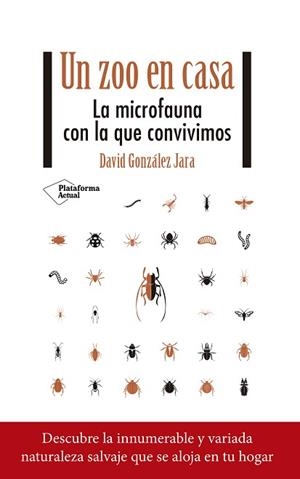 ZOO EN CASA, UN | 9788418582844 | GONZÁLEZ JARA, DAVID | Llibreria L'Illa - Llibreria Online de Mollet - Comprar llibres online