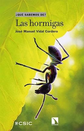 HORMIGAS, LAS | 9788413522753 | VIDAL CORDERO, JOSÉ MANUEL | Llibreria L'Illa - Llibreria Online de Mollet - Comprar llibres online