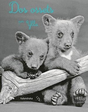 DOS OSSETS | 9788418558283 | KOFFLER, CAMILLA | Llibreria L'Illa - Llibreria Online de Mollet - Comprar llibres online