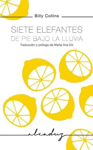 SIETE ELEFANTES DE PIE BAJO LA LLUVIA | 9788494943225 | COLLINS, BILLY