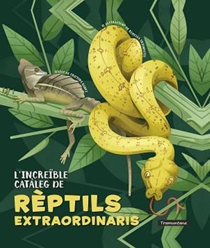 INCREÏBLE CATÀLEG DE RÈPTILS EXTRAORDINARIS, L' | 9788418520341 | BANFI, CRISTINA | Llibreria L'Illa - Llibreria Online de Mollet - Comprar llibres online
