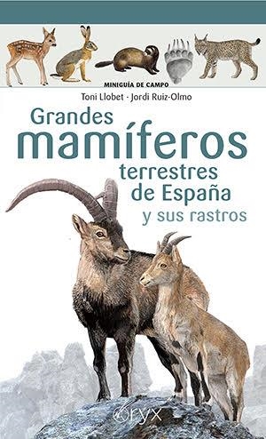 GRANDES MAMÍFEROS TERRESTRES DE ESPAÑA Y SUS RASTROS | 9788418735073 | LLOBET FRANÇOIS, TONI/RUIZ-OLMO , JORDI | Llibreria L'Illa - Llibreria Online de Mollet - Comprar llibres online